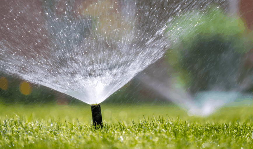 Lawn Irrigation Service